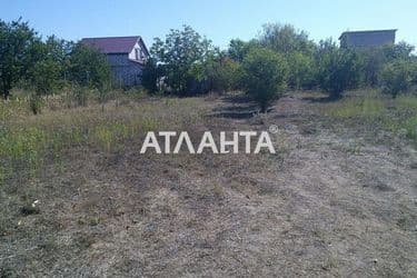 Landplot by the address st. Novoselov (area 18,3 acr) - Atlanta.ua - photo 6