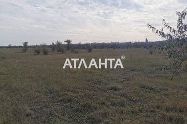 Landplot by the address st. Chereshnevaya (area 8 acr) - Atlanta.ua - photo 4