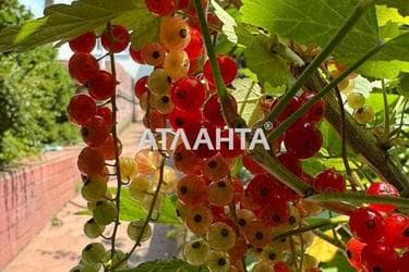 House by the address st. Abrikosovaya (area 170 m²) - Atlanta.ua - photo 39