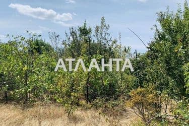 Dacha (area 38,9 m²) - Atlanta.ua - photo 17