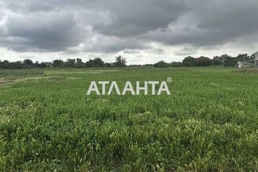Landplot by the address st. Vinogradnaya (area 15 acr) - Atlanta.ua - photo 11