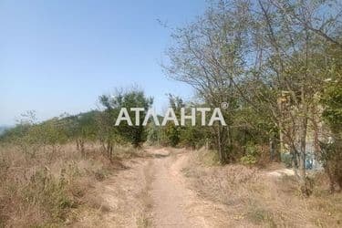Landplot by the address (area 12 acr) - Atlanta.ua - photo 12