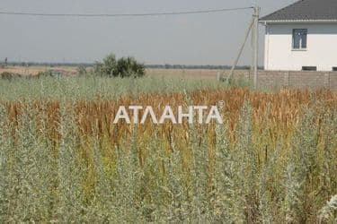 Landplot by the address st. Tsentralnaya (area 8 acr) - Atlanta.ua - photo 7