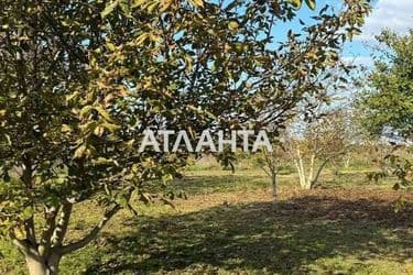 Landplot by the address st. Massiv 11 (area 6 acr) - Atlanta.ua - photo 10