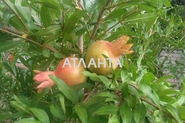 House by the address st. 7 ya liniya (area 160 m²) - Atlanta.ua - photo 25