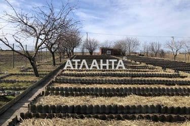 Будинок за адресою вул. Перемоги (площа 307,3 м²) - Atlanta.ua - фото 51