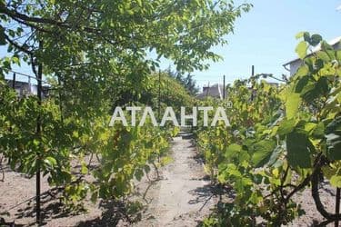 Dacha by the address (area 20 m²) - Atlanta.ua - photo 17