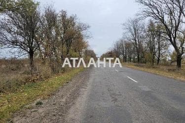 Landplot by the address st. Vinogradnaya (area 10 acr) - Atlanta.ua - photo 10