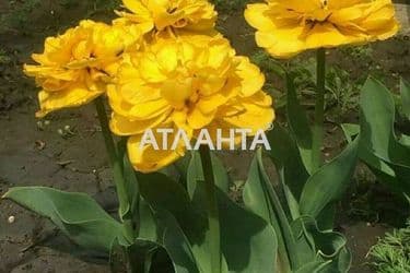 Ділянка за адресою вул. Шевченка (площа 150 сот) - Atlanta.ua - фото 11