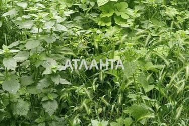 Landplot by the address st. Massiv 21 (area 6 acr) - Atlanta.ua - photo 7