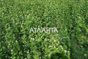 Landplot by the address st. Massiv 21 (area 6 acr) - Atlanta.ua - photo 9