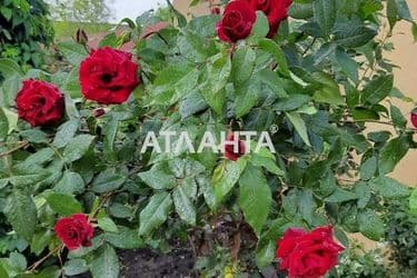 House by the address st. Ulyanova dmitriya (area 254,8 m²) - Atlanta.ua - photo 31