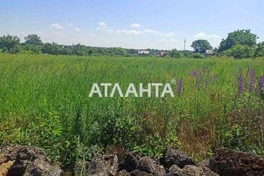 Landplot by the address st. Sveredyuka Viktora (area 25 acr) - Atlanta.ua - photo 7