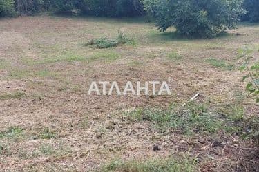 Landplot by the address st. Gagarina (area 12 acr) - Atlanta.ua - photo 14