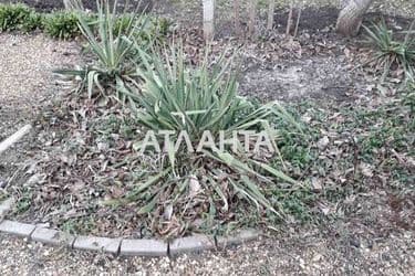 Dacha (area 62 m²) - Atlanta.ua - photo 21