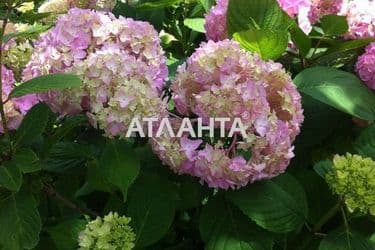 Ділянка за адресою вул. Гаршина (площа 5,5 сот) - Atlanta.ua - фото 35