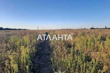 Landplot by the address st. Vesennyaya (area 6,8 acr) - Atlanta.ua - photo 7