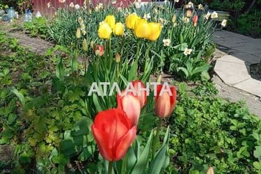 House by the address st. Lyustdorfskaya dor 27 (area 50 m²) - Atlanta.ua - photo 18