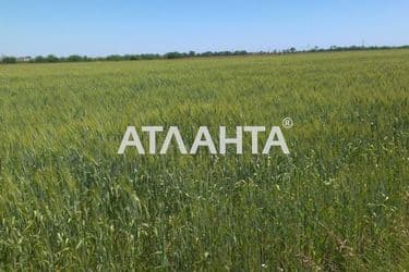 Landplot by the address (area 6,8 acr) - Atlanta.ua - photo 9