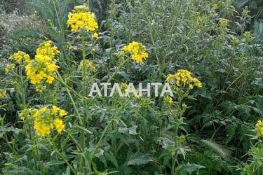 Landplot by the address st. Slavyanskaya (area 11,5 acr) - Atlanta.ua - photo 5