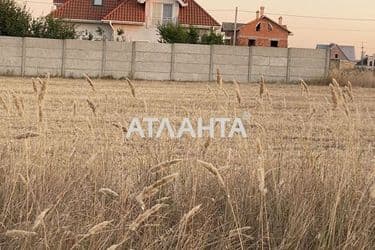 Landplot by the address st. Novaya (area 10 acr) - Atlanta.ua - photo 6