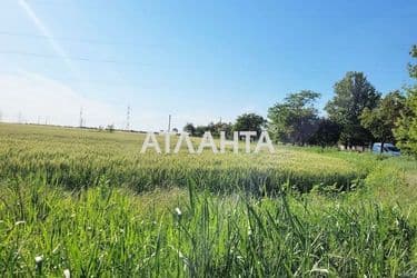 Landplot by the address st. Massiv 15 (area 178 acr) - Atlanta.ua - photo 7