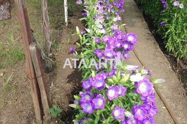 Dacha by the address st. Vishnevaya (area 55 m²) - Atlanta.ua - photo 20