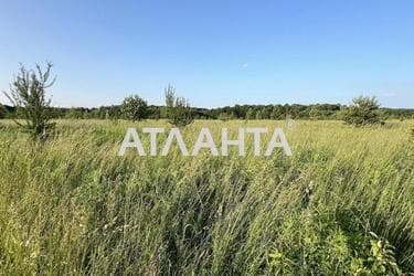 Landplot by the address st. Karernaya (area 10 acr) - Atlanta.ua - photo 9