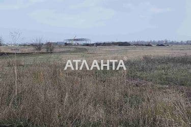 Landplot by the address st. Tsentralnaya (area 25 acr) - Atlanta.ua - photo 8