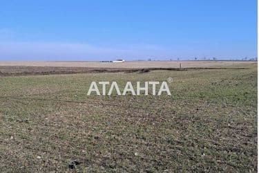 Landplot by the address (area 10 acr) - Atlanta.ua - photo 10