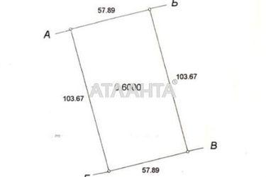 Landplot by the address (area 60 acr) - Atlanta.ua - photo 14