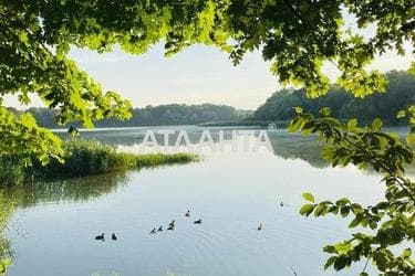 House by the address st. Tsentralnaya (area 100 m²) - Atlanta.ua - photo 28