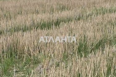 Landplot by the address (area 5 acr) - Atlanta.ua - photo 10