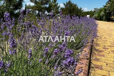 Ділянка за адресою вул. Паркова (площа 5 сот) - Atlanta.ua - фото 13