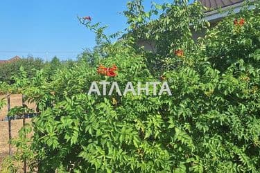 Dacha by the address st. 1 ya liniya (area 29 m²) - Atlanta.ua - photo 35