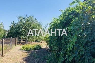 House (area 60 m²) - Atlanta.ua - photo 29