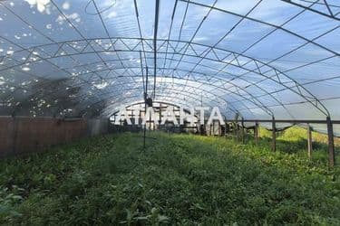 House (area 48,1 m²) - Atlanta.ua - photo 43
