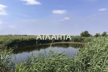 Landplot by the address (area 24,6 acr) - Atlanta.ua - photo 12
