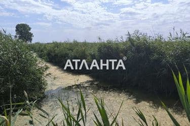 Landplot by the address (area 24,6 acr) - Atlanta.ua - photo 13