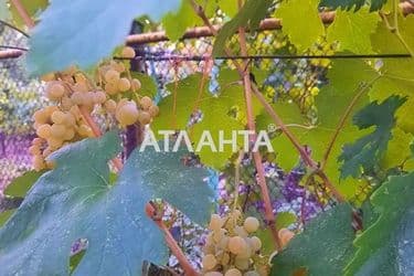 House by the address st. Tsentralnaya (area 200 m²) - Atlanta.ua - photo 50