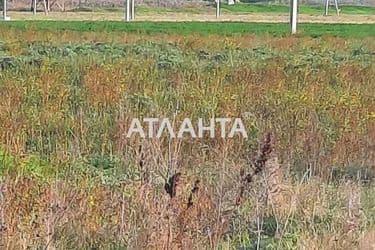 Landplot by the address st. Vasnetsova (area 4,9 acr) - Atlanta.ua - photo 9