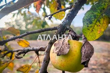 Ділянка за адресою вул. Кобилянської Ольги (площа 0,1 сот) - Atlanta.ua - фото 25