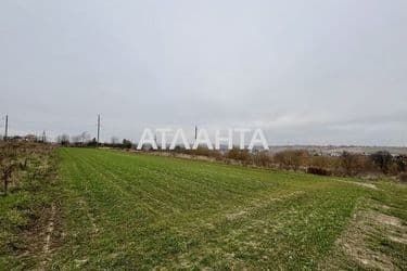 Landplot by the address st. Tsentralnaya (area 16 acr) - Atlanta.ua - photo 11