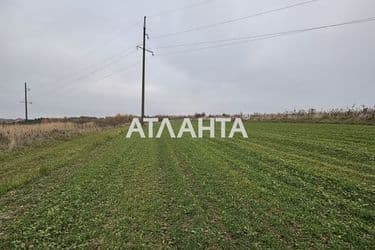 Landplot by the address st. Tsentralnaya (area 16 acr) - Atlanta.ua - photo 12