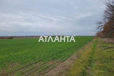 Landplot by the address (area 330 acr) - Atlanta.ua - photo 10