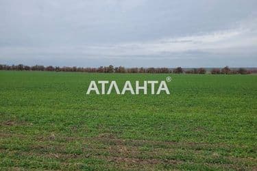 Landplot by the address (area 330 acr) - Atlanta.ua - photo 11