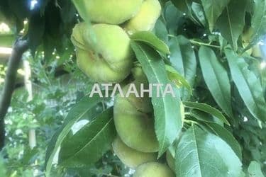 Будинок за адресою вул. Колесніченка (площа 160 м²) - Atlanta.ua - фото 50
