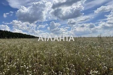 Landplot by the address st. Leonida Kadenyuka per (area 6 acr) - Atlanta.ua - photo 10