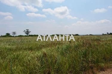 Landplot by the address st. Vostochnaya (area 8 acr) - Atlanta.ua - photo 6