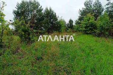 Landplot by the address st. Ozernaya (area 25 acr) - Atlanta.ua - photo 7